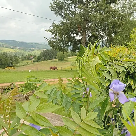 Le En Fleurs Apartamento Dance (Loire)