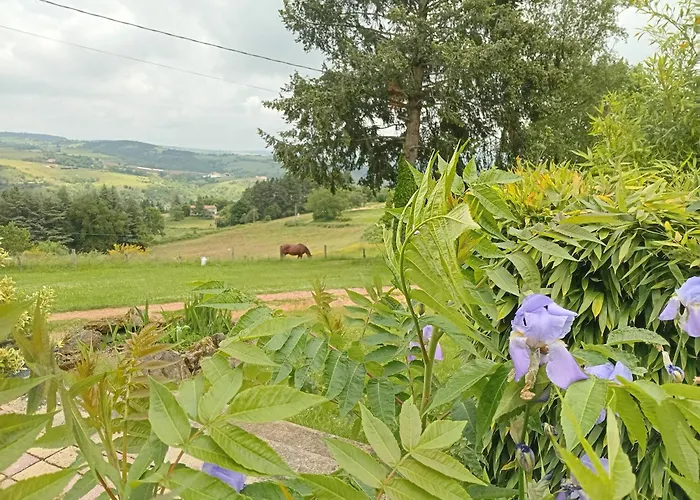 Le En Fleurs Apartman Dance (Loire)